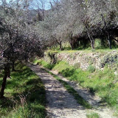 Апартаменты Contrada